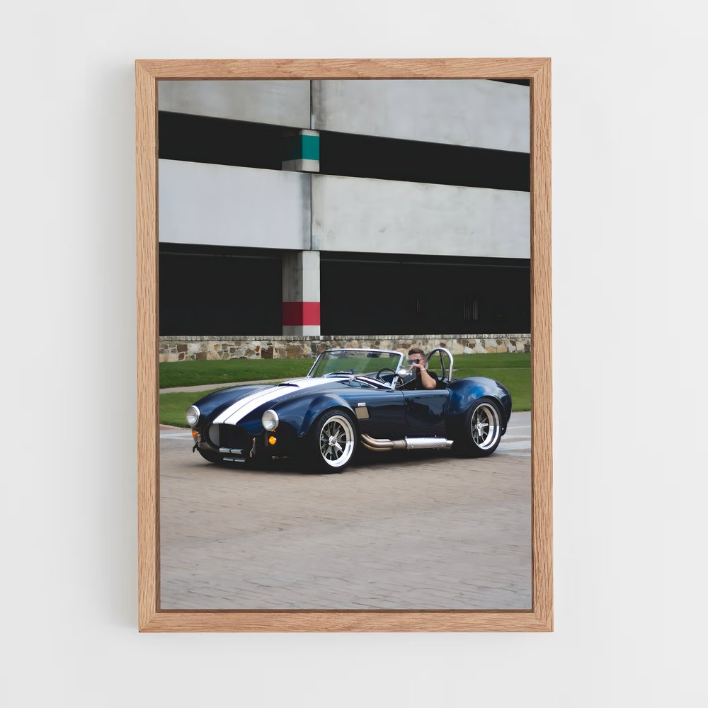 Poster AC Cobra Racing (vue 4)